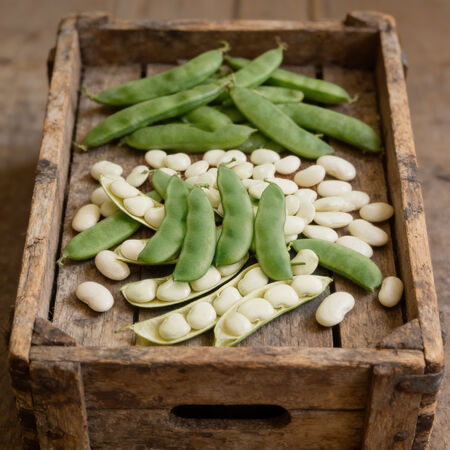 Eastland, Bean Seeds - Packet (1 oz.) image number null